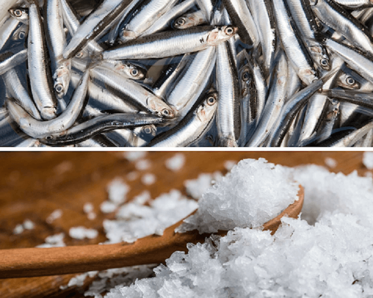 Chọn nguyên liệu